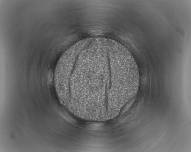 X0000112420081200909251525