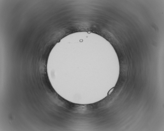 X0000112420083200909251525