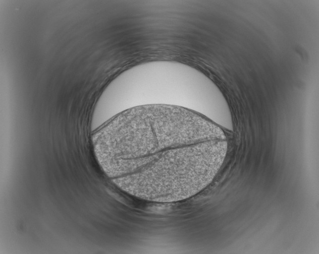 X0000112420084200909251525