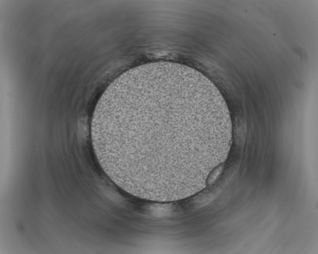 X0000112420085200909251525