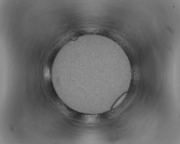 X0000112420089200909251525