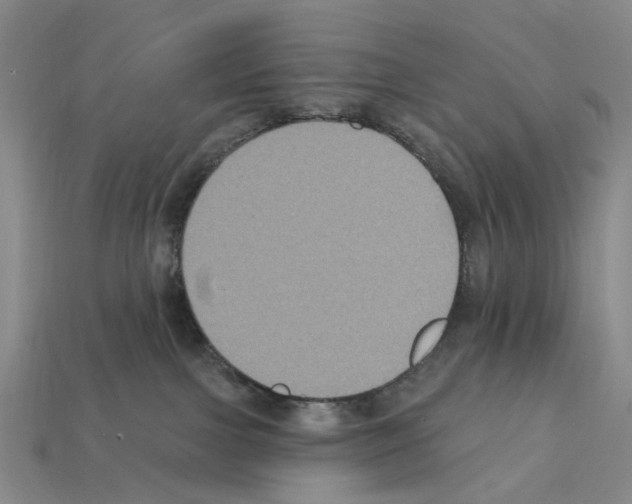 X0000112420091200909251525