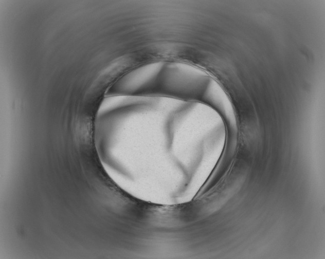 X0000112420092200909251525