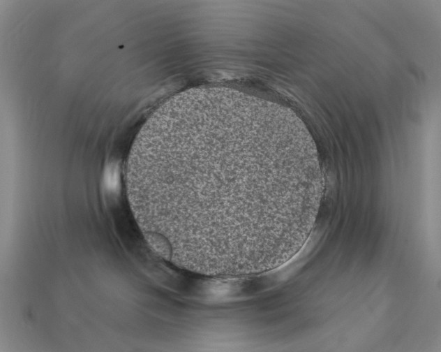 X0000112420094200909251525