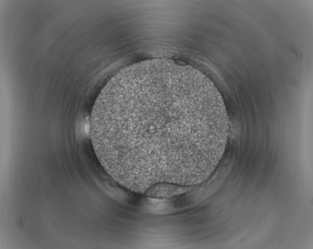 X0000112420095200909251525