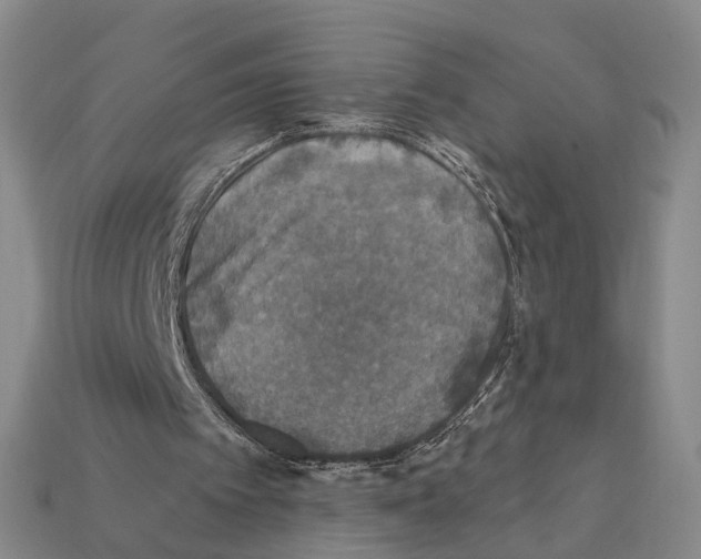 X0000112420097200909251524