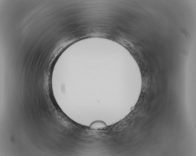 X0000112420098200909251524