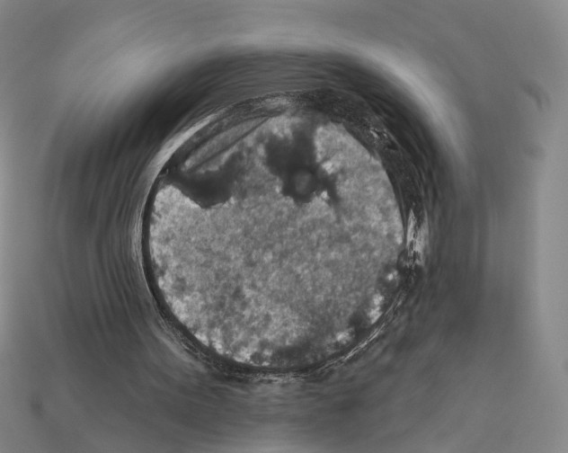 X0000112420099200909251524