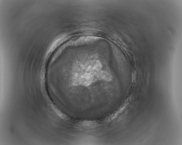 X0000112420101200909251524