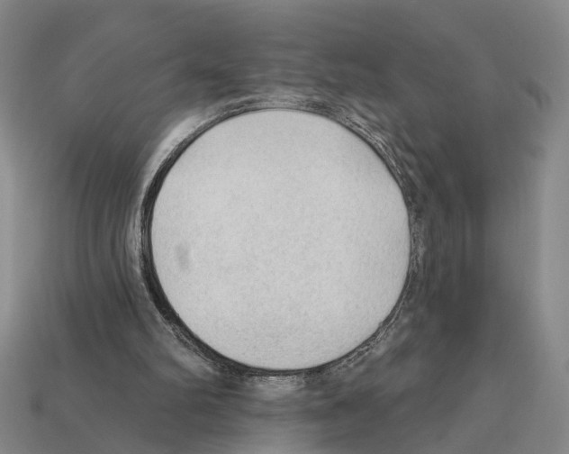 X0000112420102200909251524