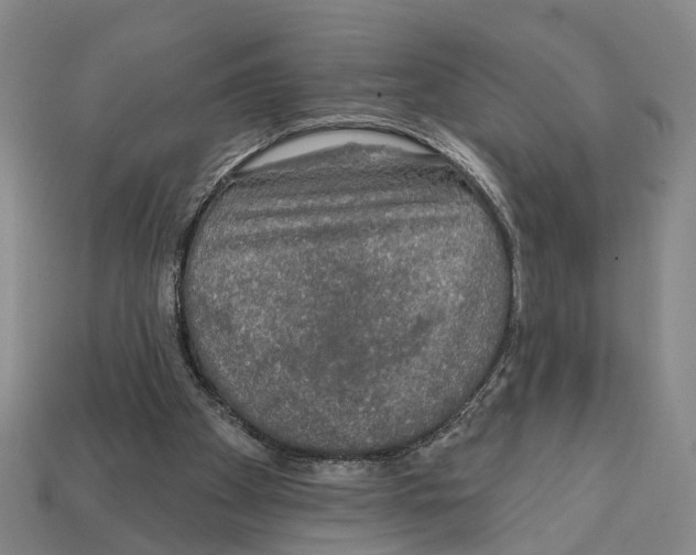 X0000112420105200909251524