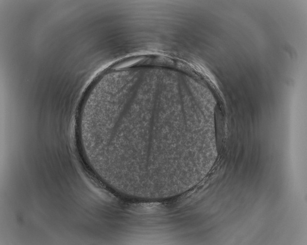 X0000112420108200909251524