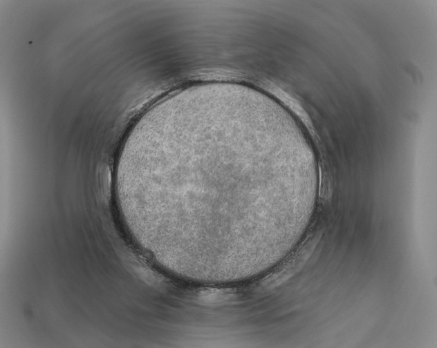 X0000112420109200909251524