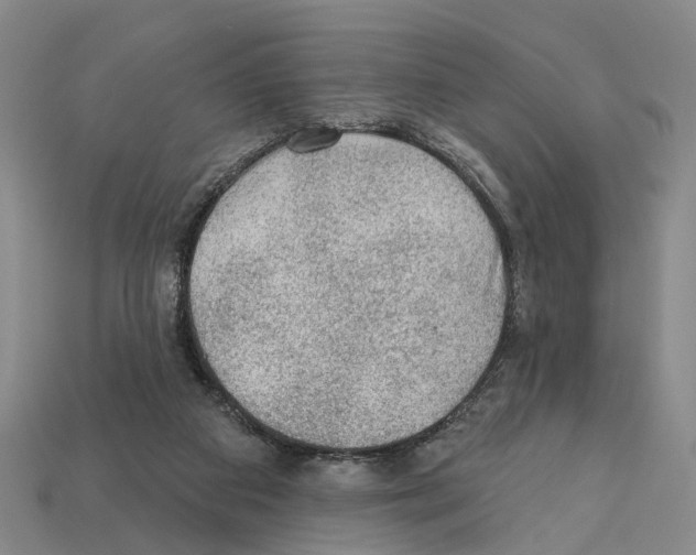 X0000112420113200909251524