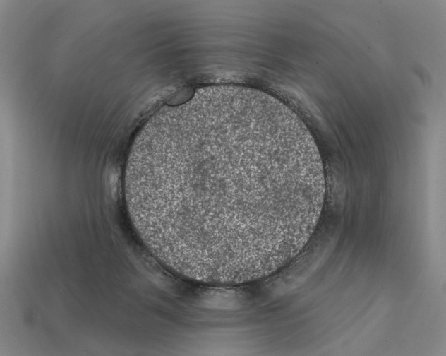 X0000112420123200909251524