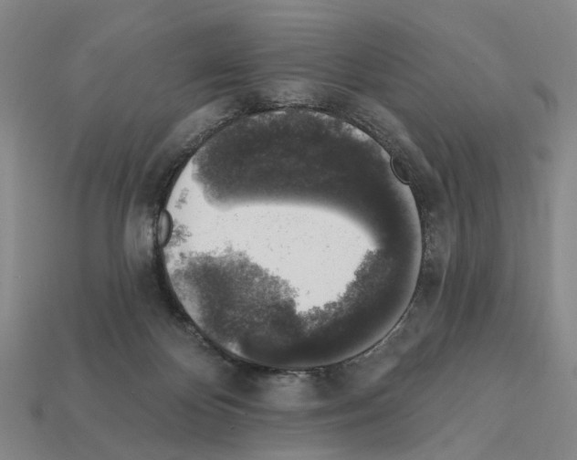 X0000112420124200909251524