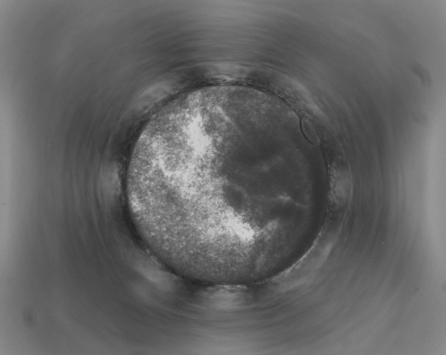 X0000112420128200909251524