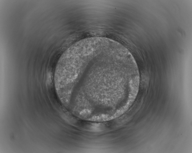 X0000112420130200909251524