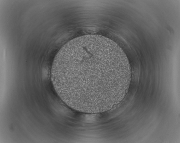 X0000112420134200909251524