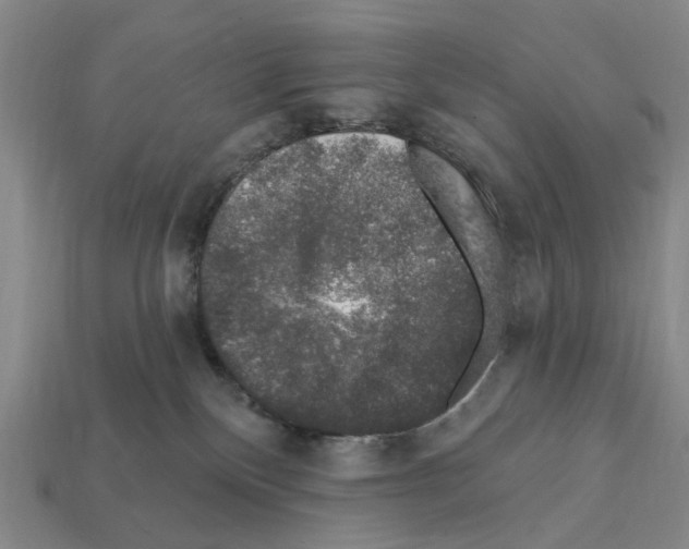 X0000112420136200909251524