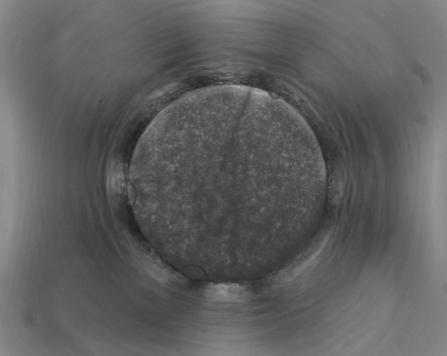 X0000112420137200909251524