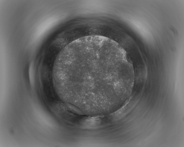 X0000112420140200909251524