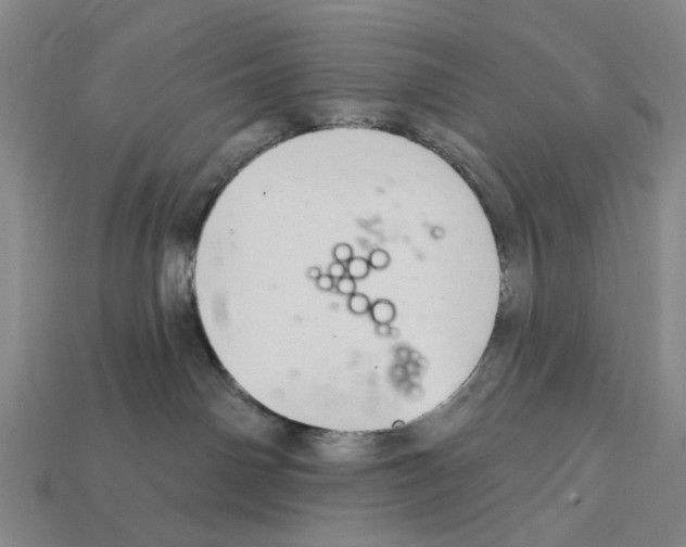 X0000112420142200909251524