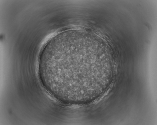 X0000112420149200909251523