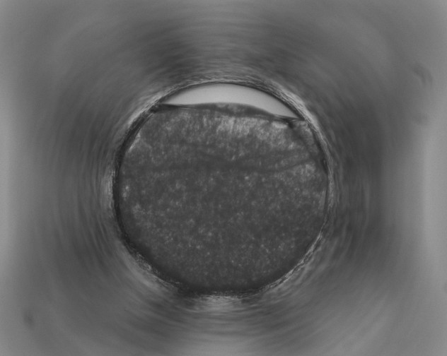 X0000112420154200909251523