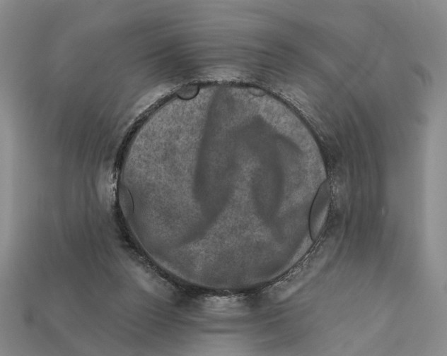 X0000112420160200909251523