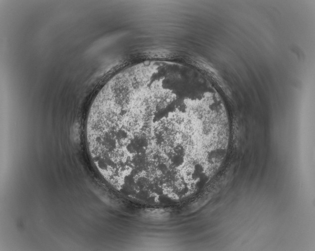 X0000112420161200909251523