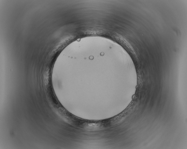 X0000112420163200909251523