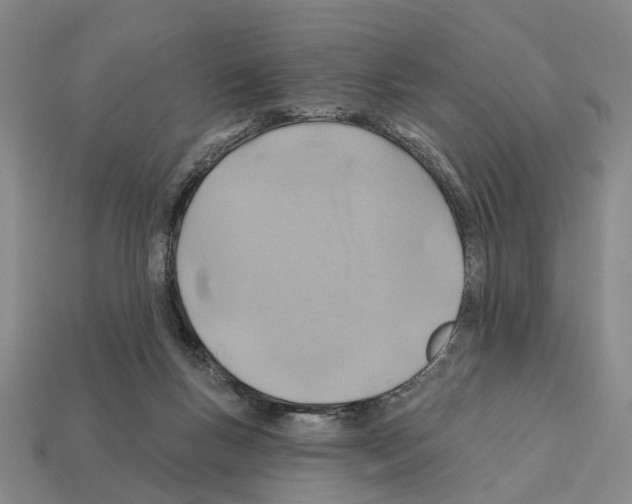 X0000112420167200909251523