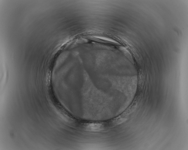 X0000112420168200909251523