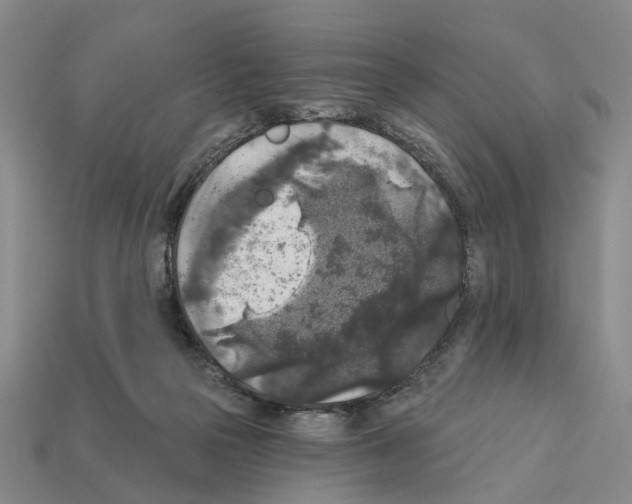 X0000112420169200909251523