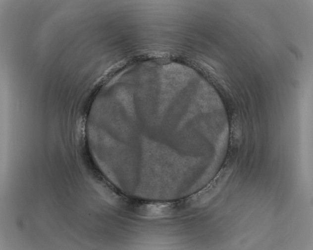 X0000112420172200909251523