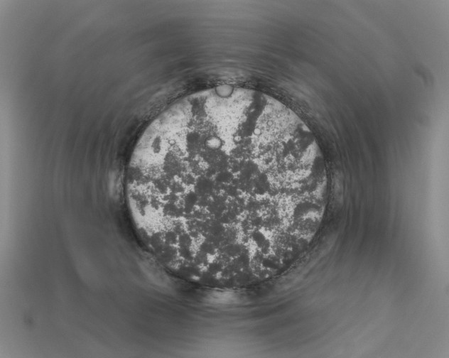 X0000112420177200909251523