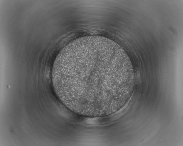 X0000112420178200909251523