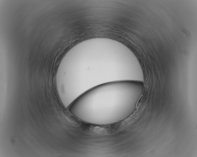 X0000112420180200909251523