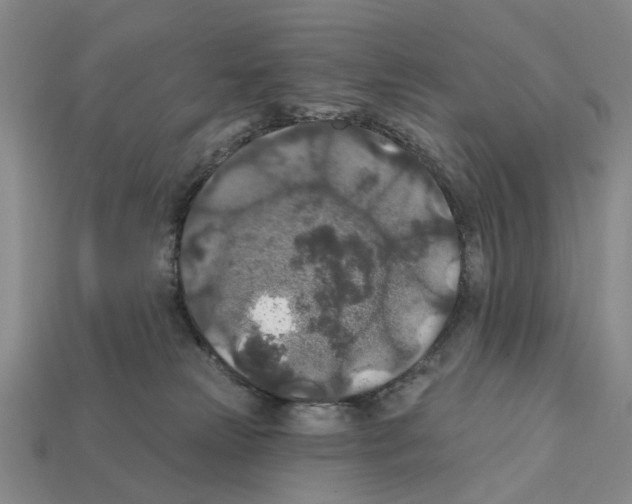 X0000112420181200909251523