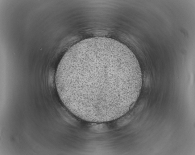 X0000112420185200909251523