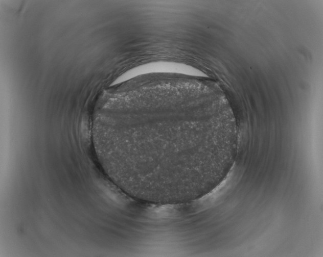 X0000112420186200909251523