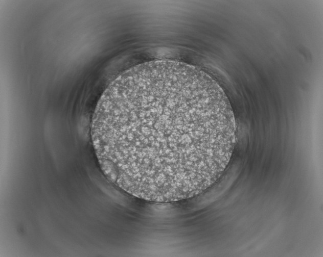 X0000112420189200909251524