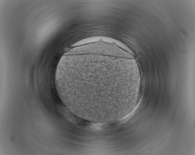 X0000112420190200909251524