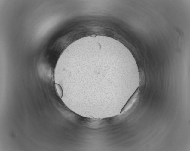 X0000112420191200909251524