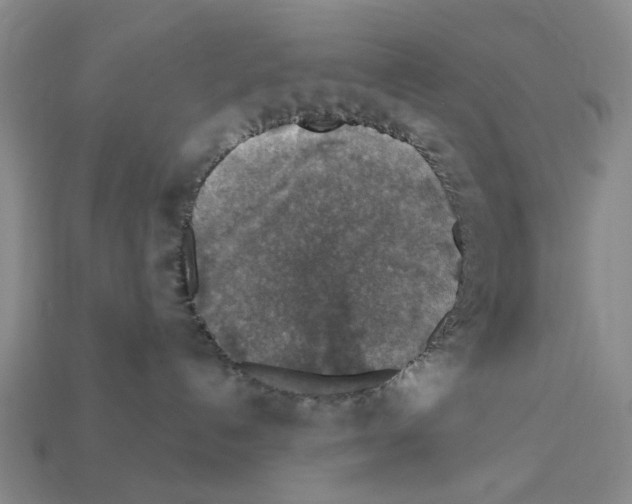 X0000112420192200909251524