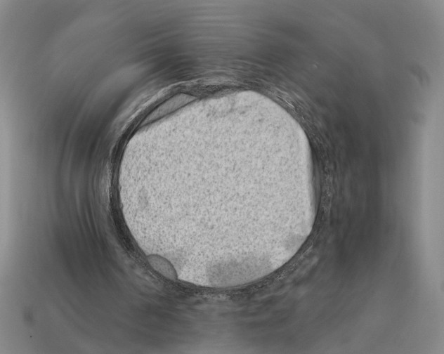 X0000112420194200909251523