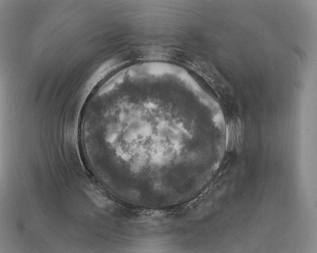 X0000112420195200909251523