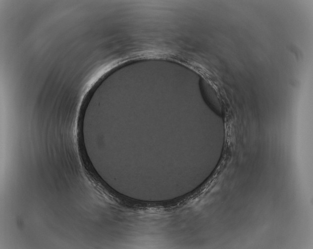 X0000112420196200909251523