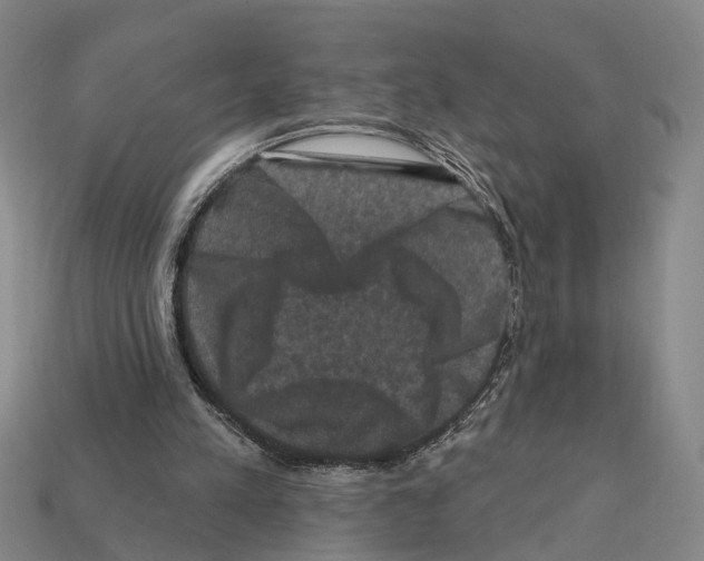 X0000112420197200909251523